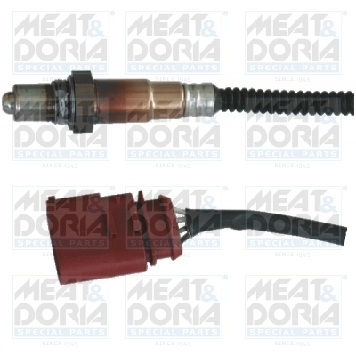 Oxygen Sensor